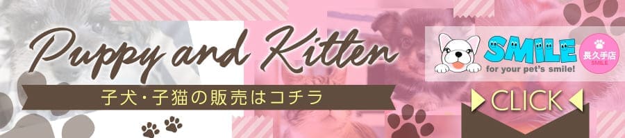 子犬・子猫の販売はコチラ
